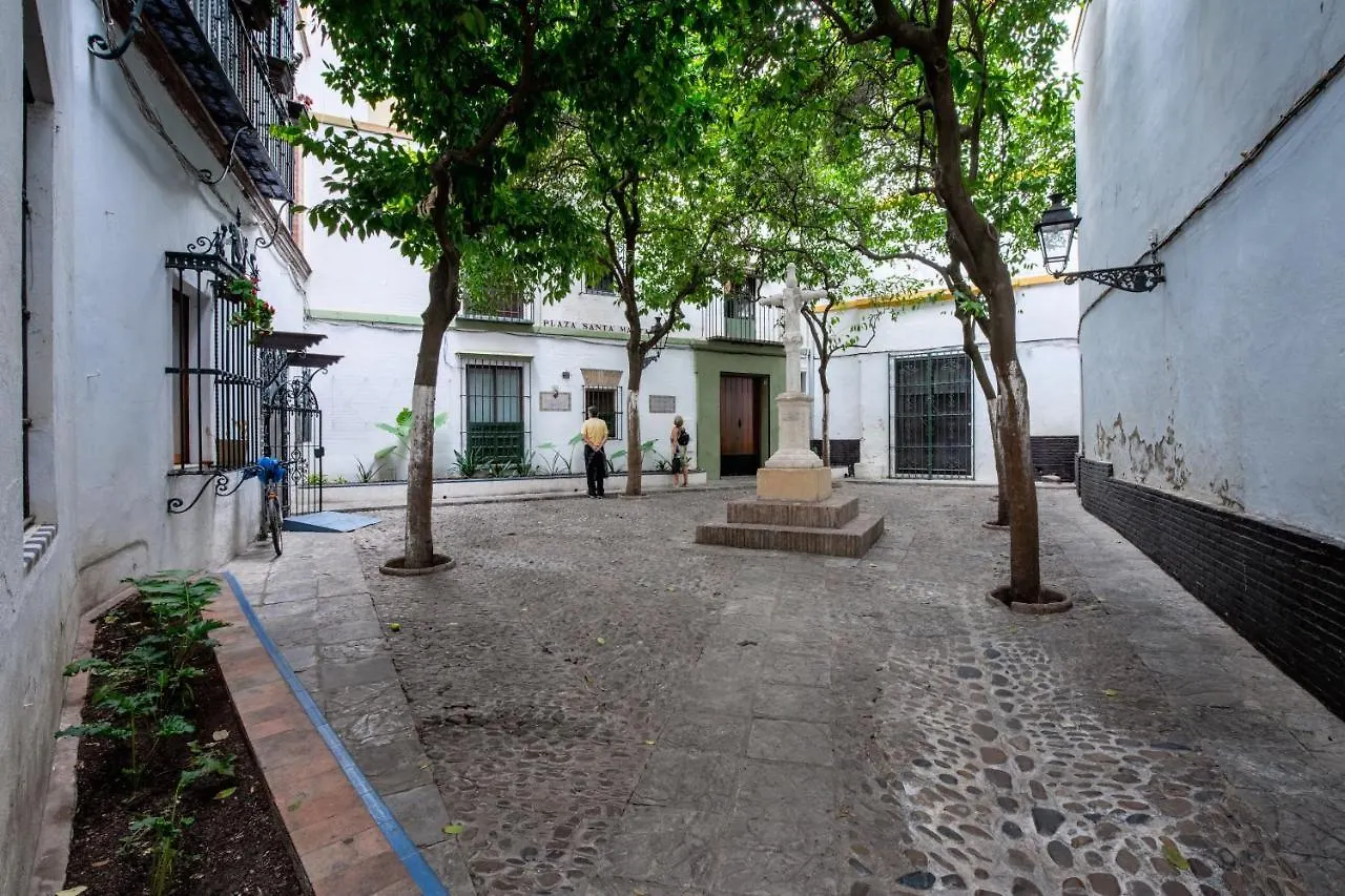 Historic Building Cathedral Apartment Seville