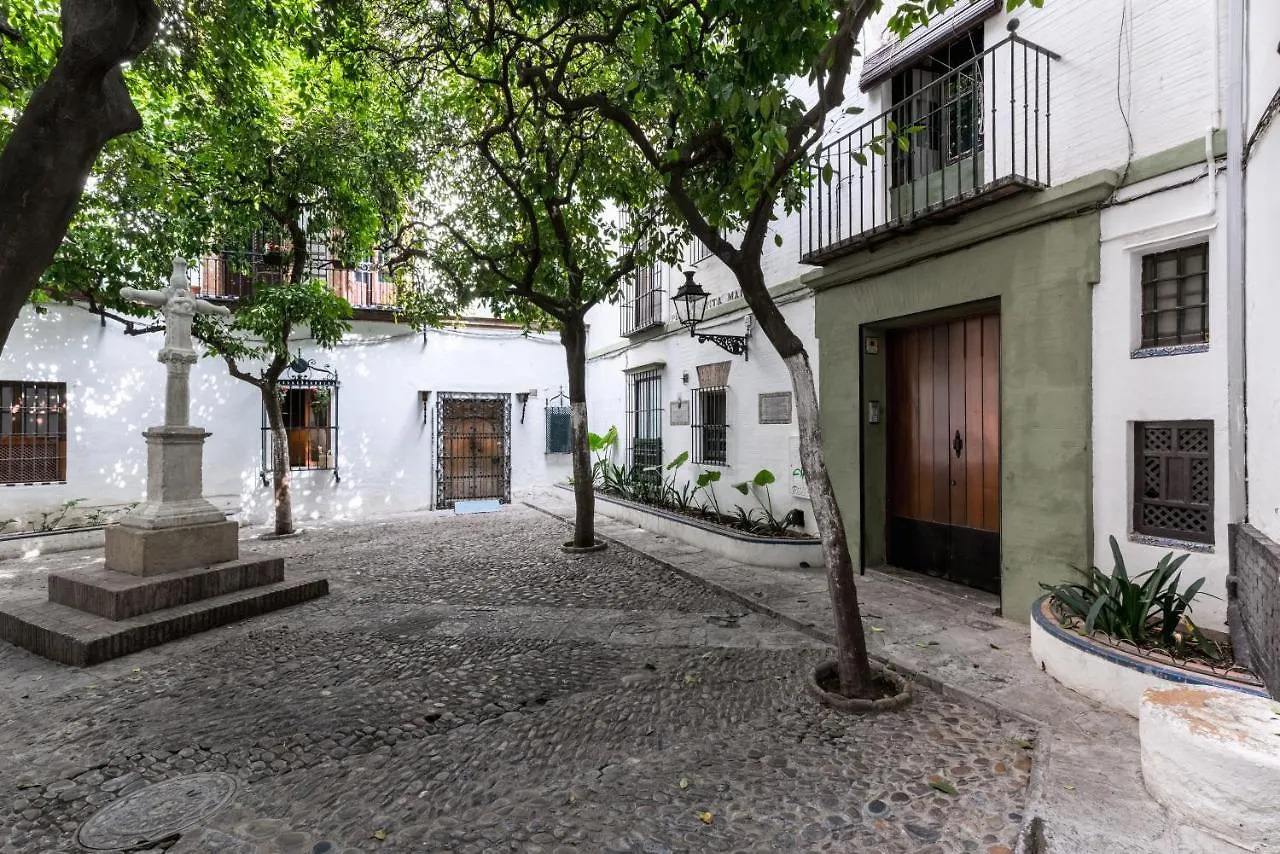 Historic Building Cathedral Apartment Seville