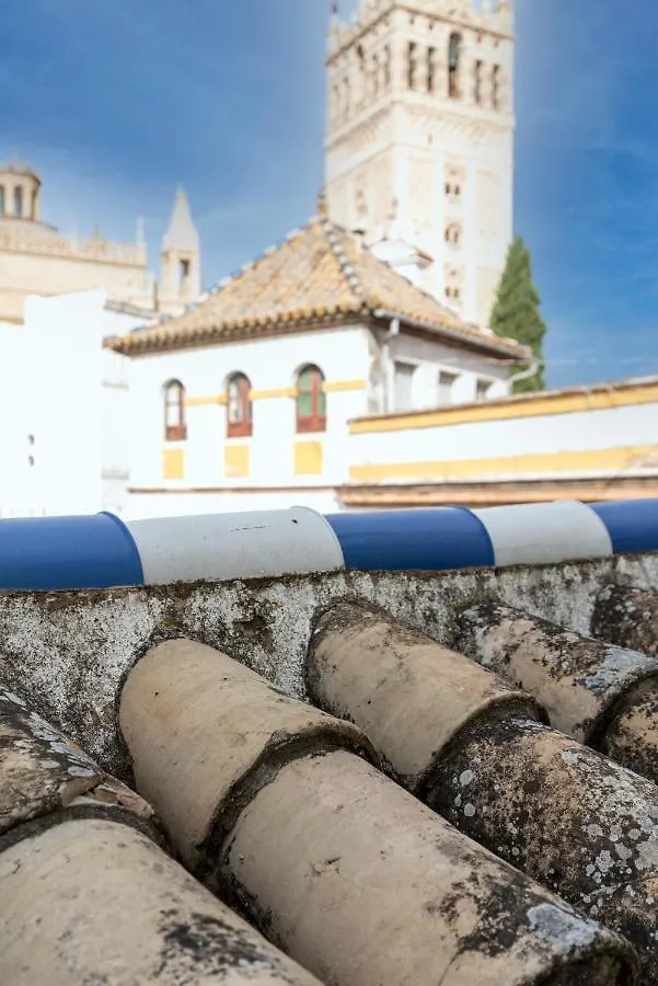 Historic Building Cathedral Apartment Seville Spain