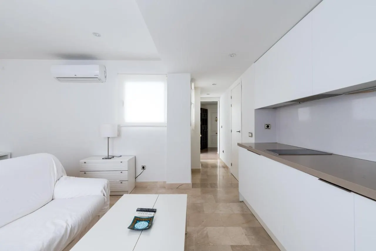 Historic Building Cathedral Apartment Seville